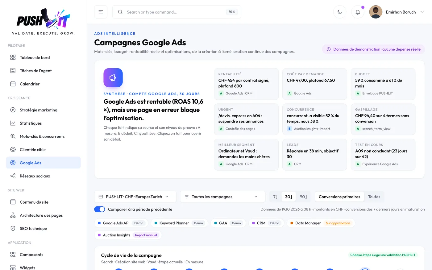 Bildschirm Google Ads der PUSHLIT-App mit Budget und Performance